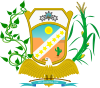 Official seal of Araripina