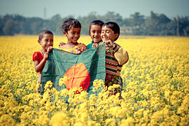 Kanak-kanak memegang bendera Bangladesh dalam ladang sesawi.