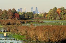 John Heinz NWR at Tinicum