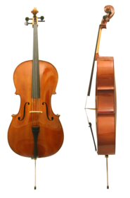 Violoncello