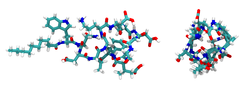 Daptomycin