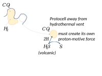 A protocell away from a hydrothermal vent must create its own proton-motive force, such as by splitting hydrogen sulphide.[6]