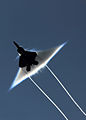 F-22 raptor