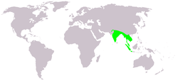 Distribución de la jacana bronceada