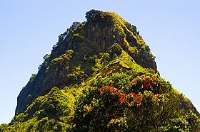 Colonização da vida em um pico rochoso