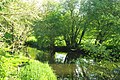 L'Ével à quelques mètres de sa confluence avec le Blavet.