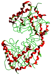 Cellulasen