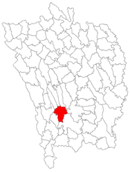 Location in Vaslui County