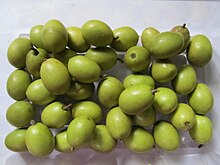 Elaeocarpus serratus (Veralu/Ceylon Olive) fruits