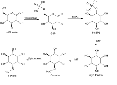 Biosynthesis of D-Pinitol