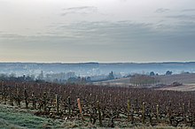 Photographie en couleurs de la vallée d'un cours d'eau sous la brume avec des vignes au premier plan.