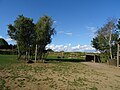 Giraffe Enclosure