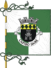 Flag of Castro Daire