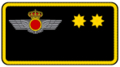 Teniente coronel