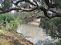 Billabong Creek at Wanganella