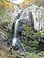 The river at Boyana Waterfall