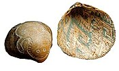 Etched shell, Hohokam