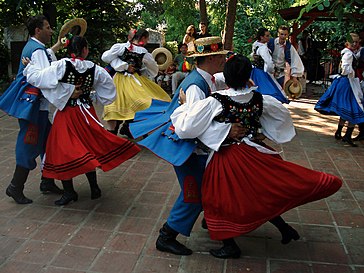 Saltatio vulgaris: Poloni migrantes in Turcia habitantes saltant