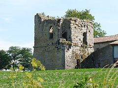 Tour de l'ancien château