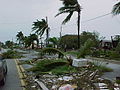 Image 80Hurricane Georges downed trees in Key West along the old houseboat row on South Roosevelt Blvd. (from 1990s)