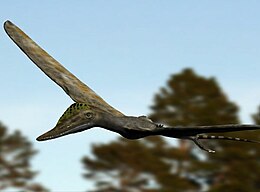 A Wukongopterus lii rekonstrukciója