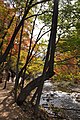 関門山の渓谷の上流で