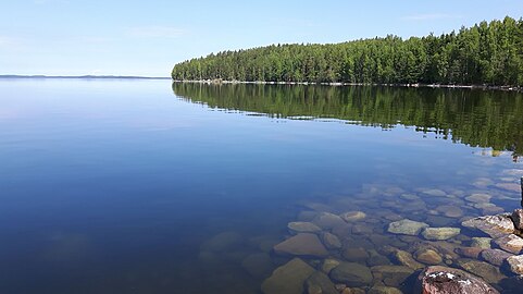 Obala jezera Saimaa