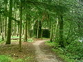 Bunker and antitank ditch in De Inslag