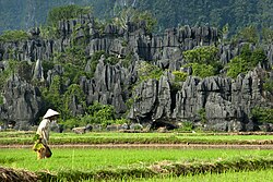 Kawasan Karst Maros-Pangkep