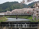 宇陀市の水分桜