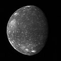 Callisto