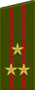 Colonel