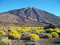 Teide, 5 janvier 2021