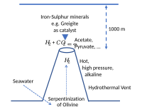 Iron-Sulphur minerals like Greigite catalyse the reduction of carbon dioxide in hydrothermal vents to make Krebs cycle intermediates.[2]