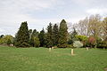 Eine Wiese im Kongresspark