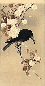 Kraai op een tak kersenbloesem door Ohara Koson (Japan),