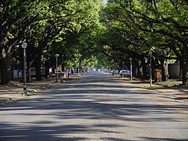 Oak Avenue, Potchefstroom