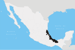 Bang Veracruz ở Mexico