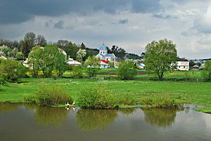 Село Калагарівка. По центру церква Введення в храм Пресвятої Богородиці