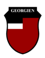 Insigne de la Légion géorgienne, reprenant les couleurs de la première république indépendante de Géorgie.