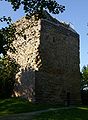 Burg Kalsmunt