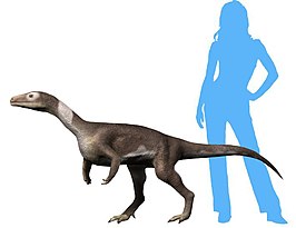 Guaibasaurus