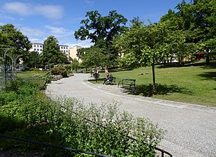 Den slingrande gången i Stadsparken