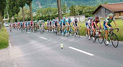 Tourdesuisse peloton.jpg