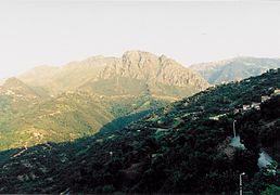 Un exemple d'habitat du macaque berbère dans la région du Djurdjura en Algérie.