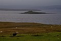 Toftirnar av eini 'Broch' (borg) síggjast á Holm of Copister