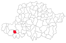 Location in Arad County