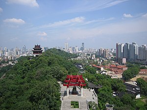 cityscape of Wuhan with many modern skyscrapers