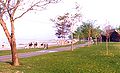 The Beaches in 1984. The boardwalk and the Martin Goodman Trail are seen.