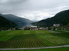 View of Loen